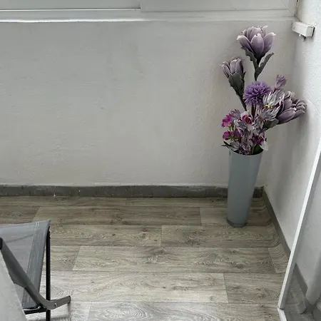 Apartment рейна Varna